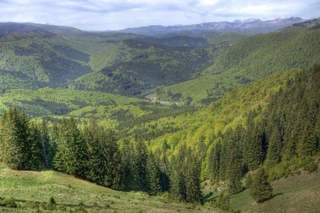 Bucegii de pe Masivul Zaganu