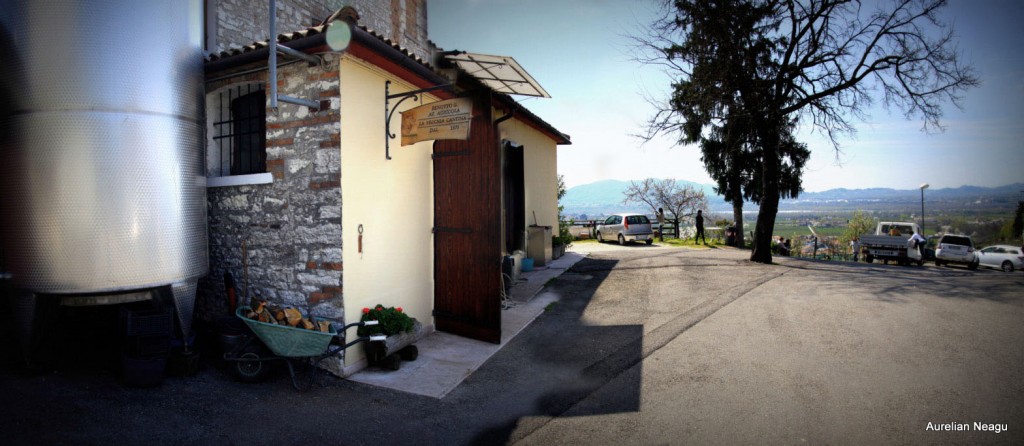 Prosecco_panorama