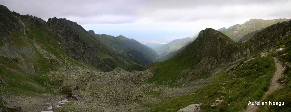 panorama11