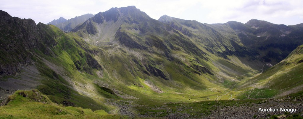 panorama6