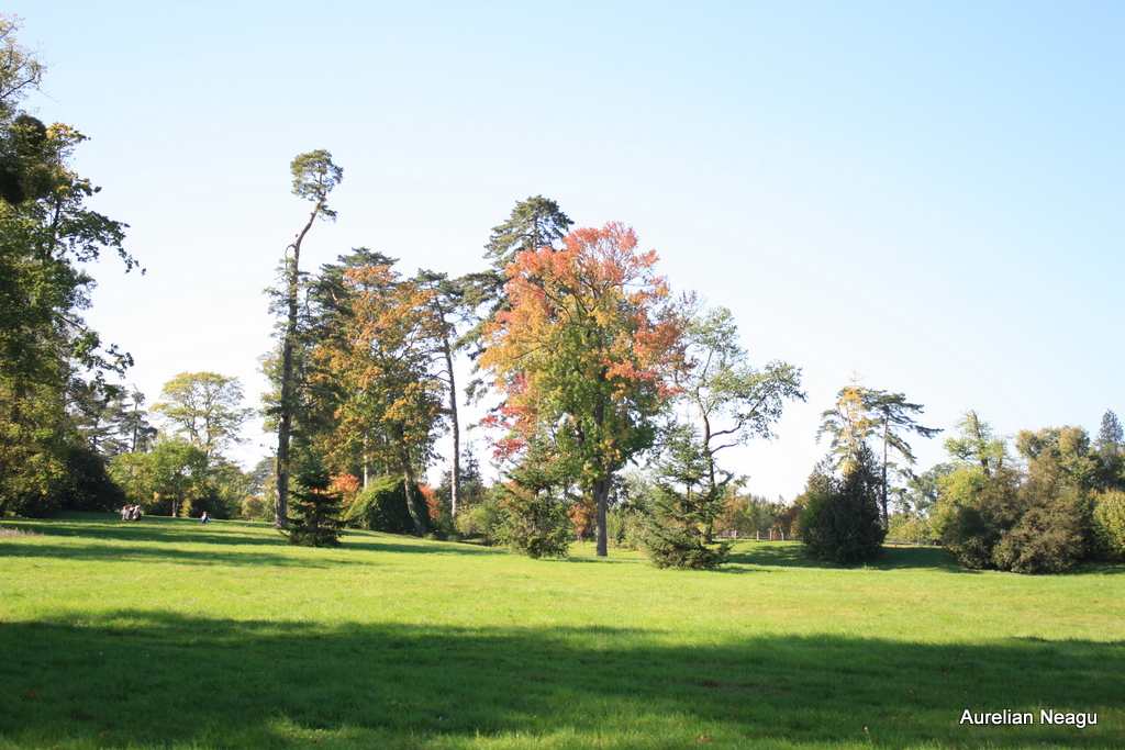 Versailles_7849