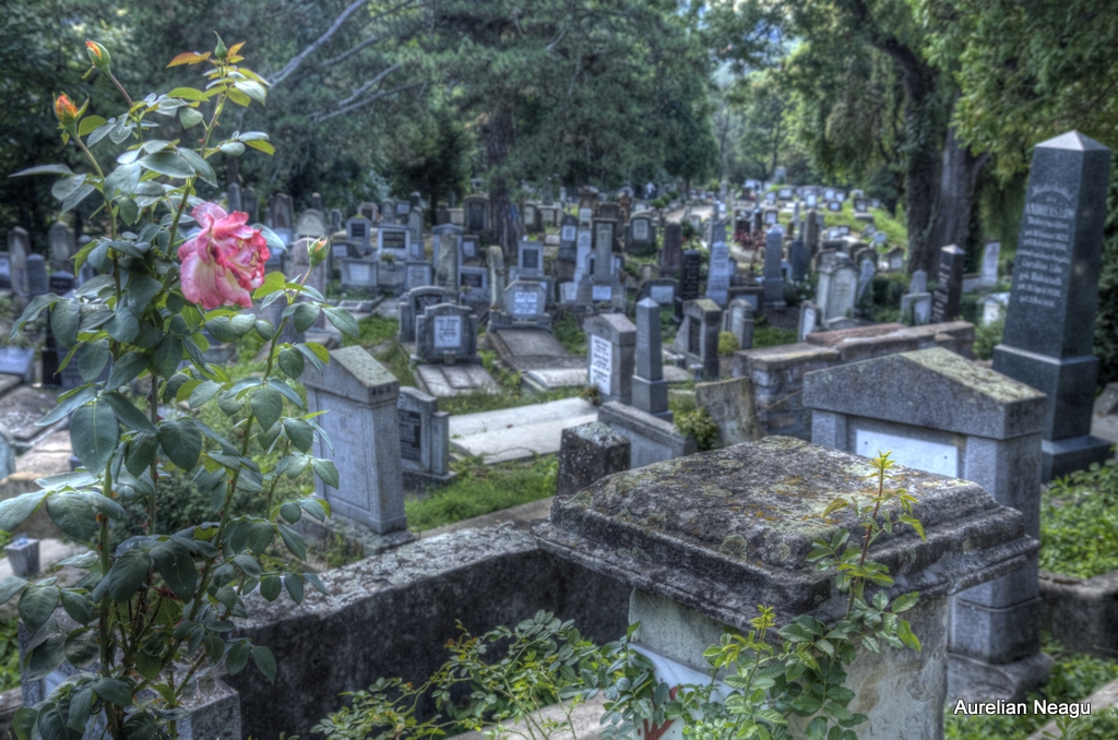 Cimitirul_Sasilor_Sighisoara-1