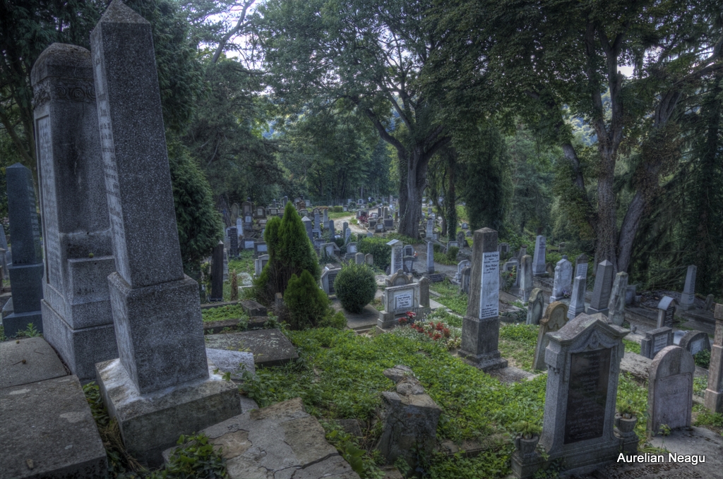 Cimitirul_Sasilor_Sighisoara-13