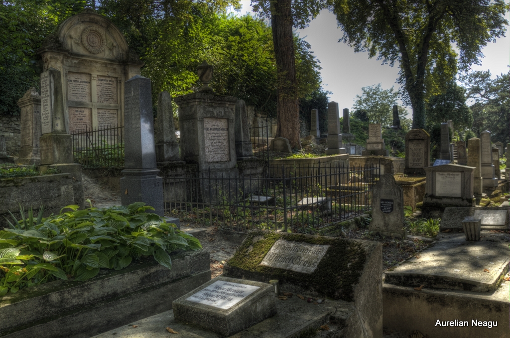 Cimitirul_Sasilor_Sighisoara-3
