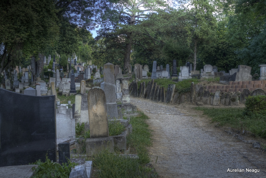 Cimitirul_Sasilor_Sighisoara-7