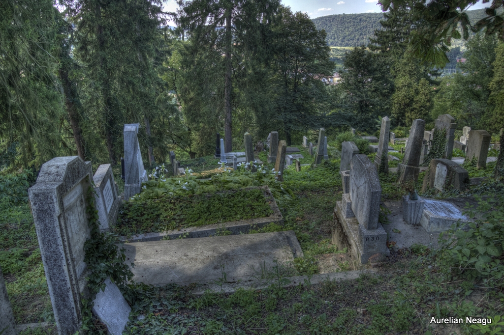 Cimitirul_Sasilor_Sighisoara-9
