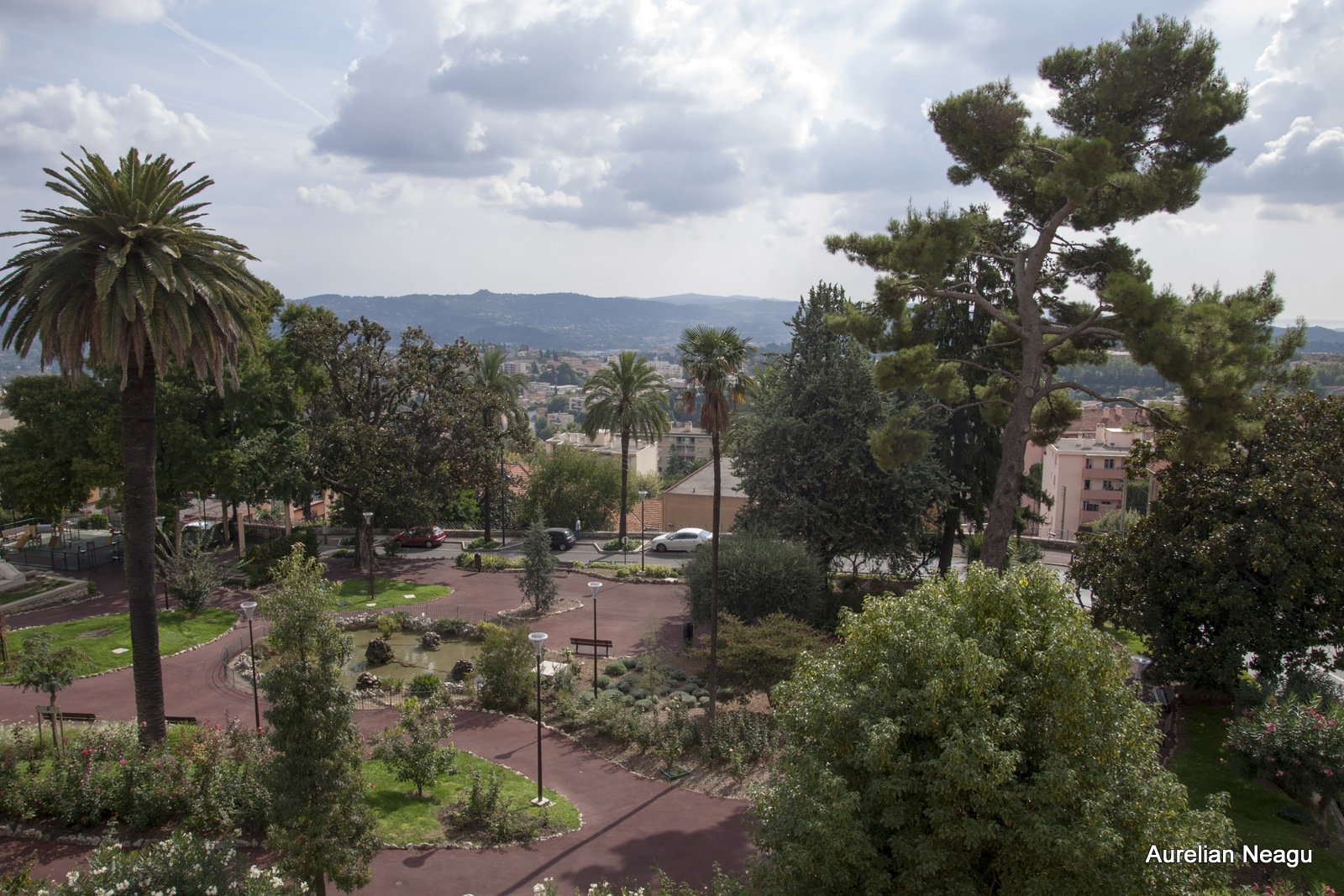 IMG_6708 copy