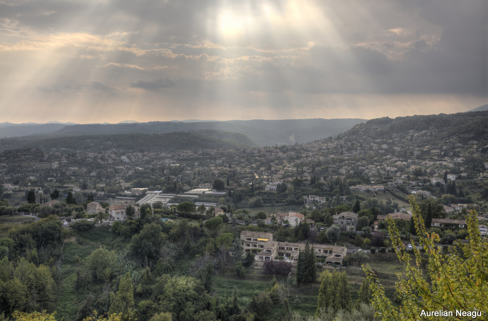 SP-Vence_6450_1_2