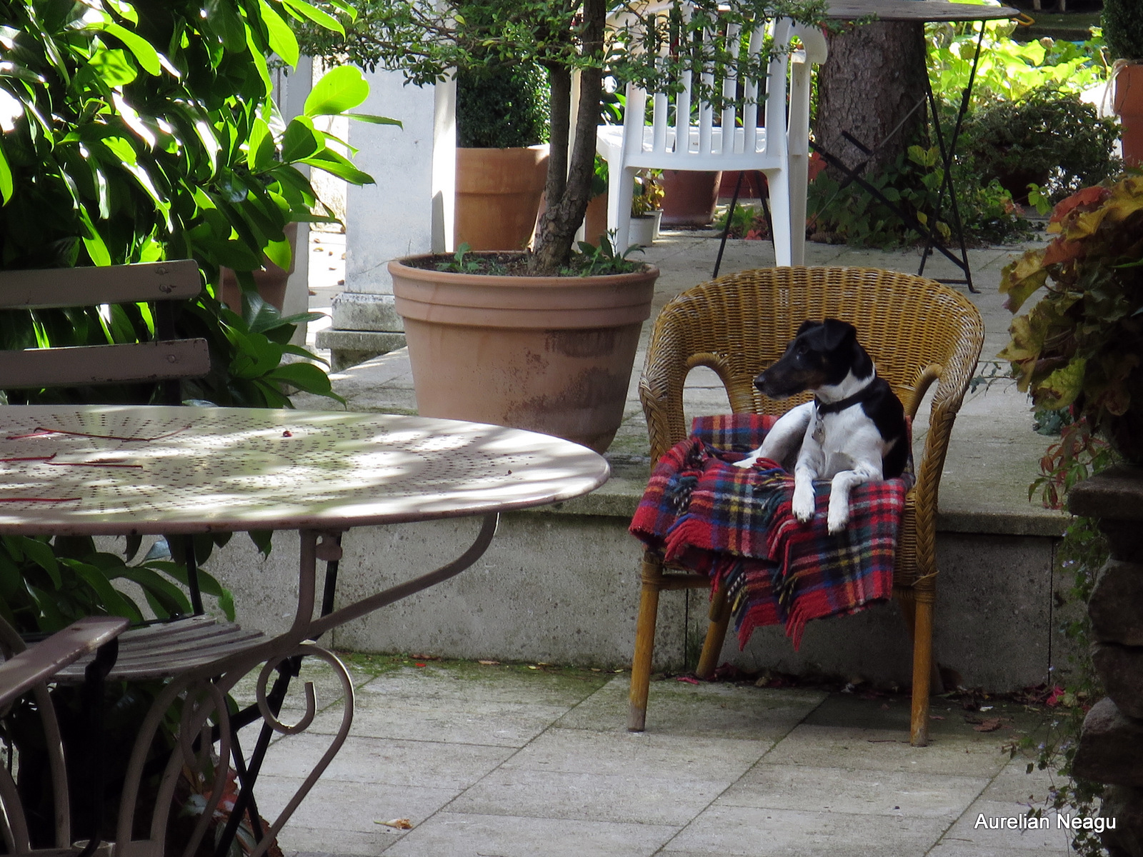 auberge_loube_8