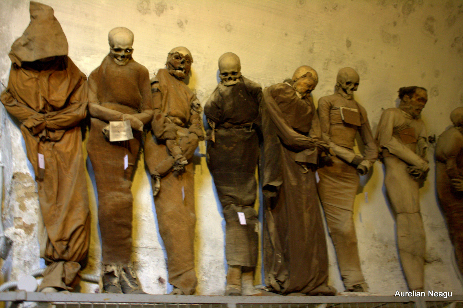 Catacombele Capucinilor 11