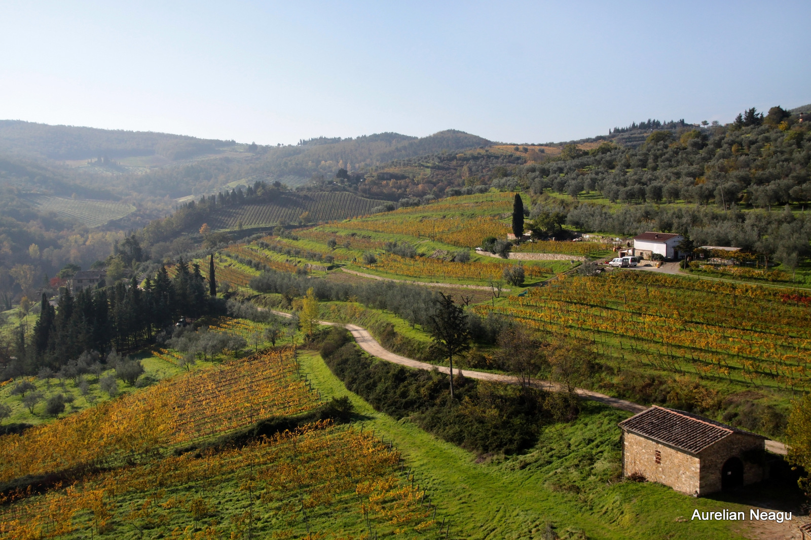 Chianti_2