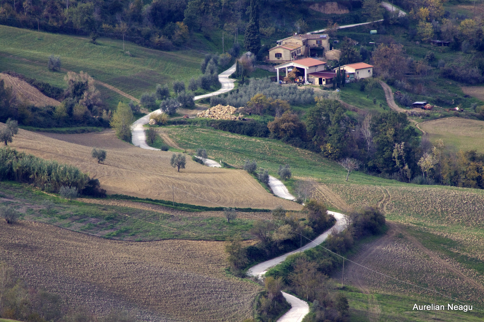 Chianti_4