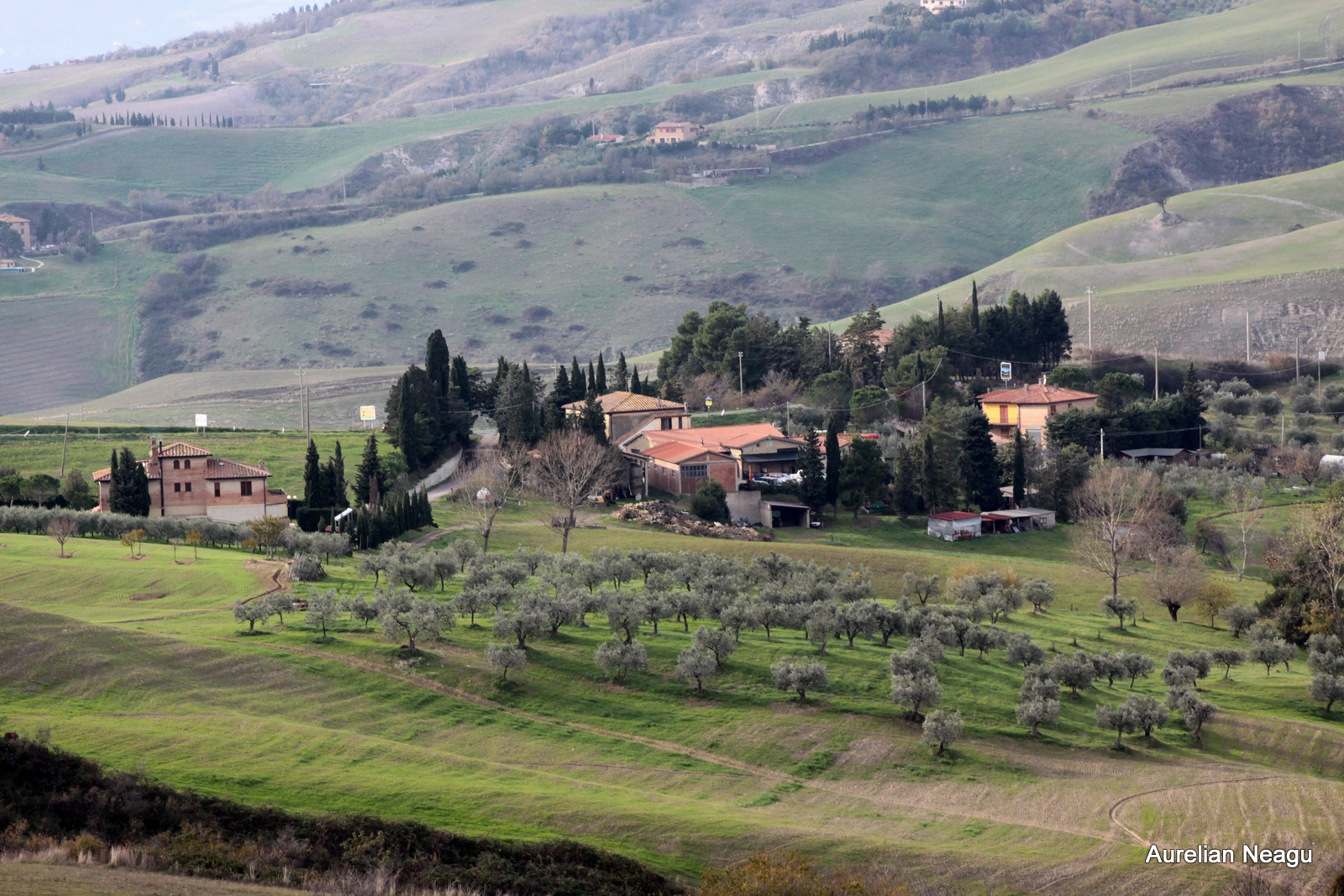 Chianti_7