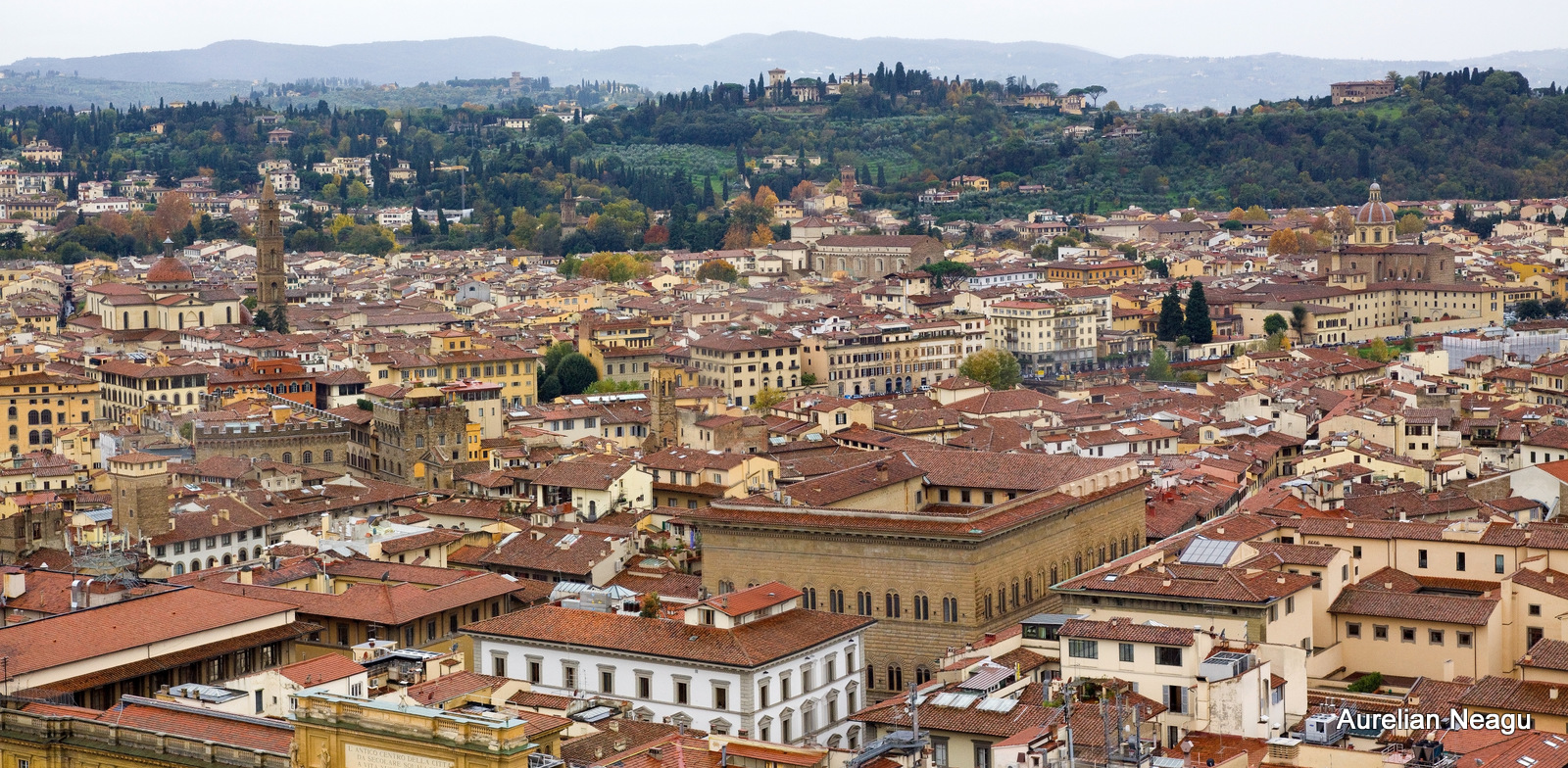 Florenta_2