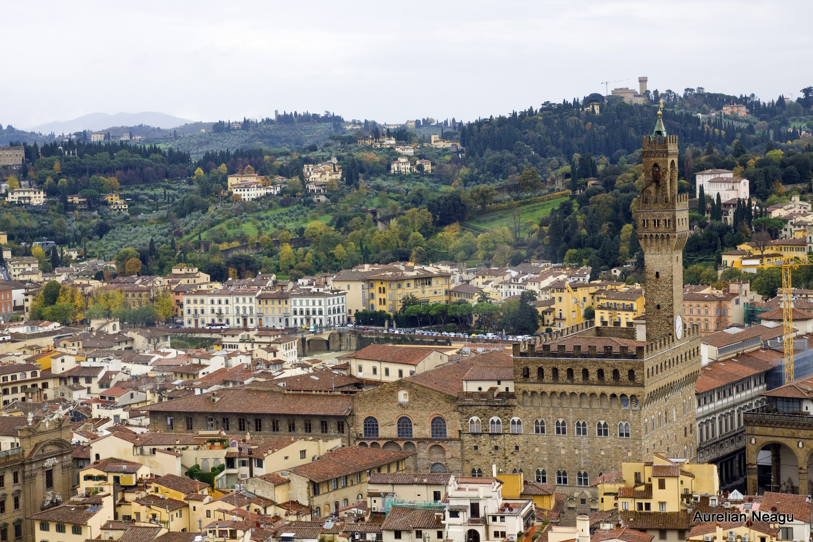 Florenta_3