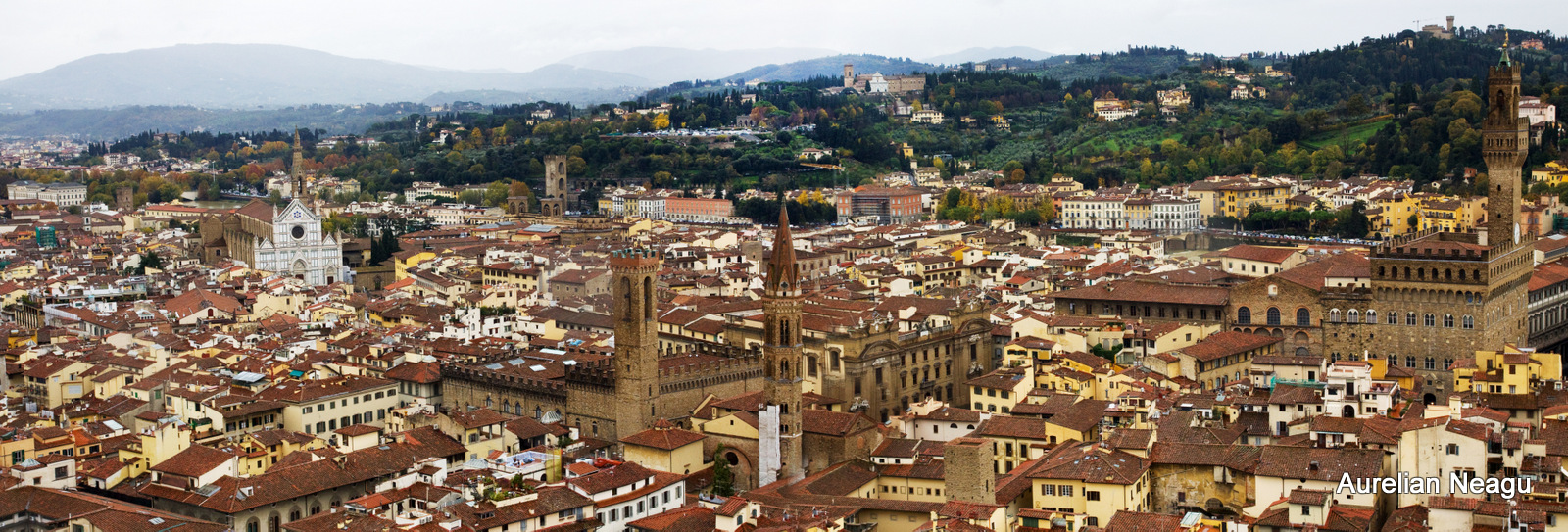 Florenta_4
