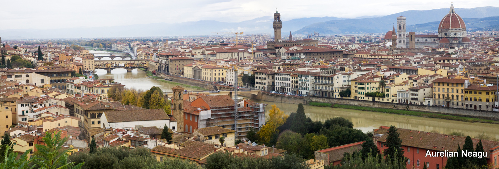 Florenta_6