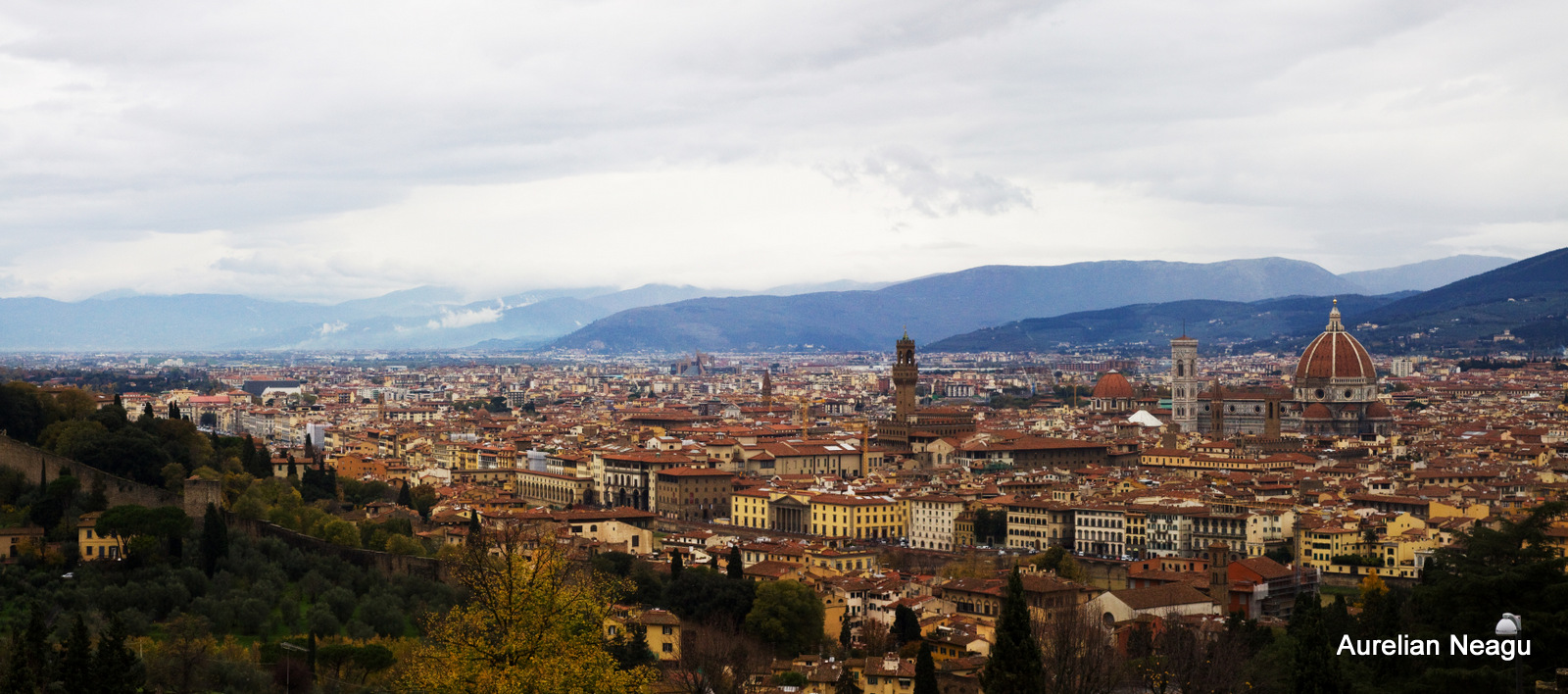 Florenta_7
