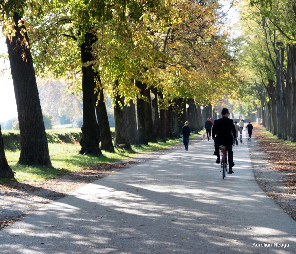 Lucca