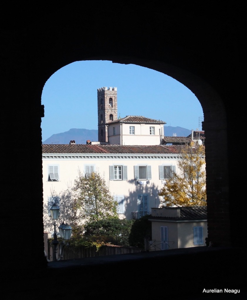 Lucca1