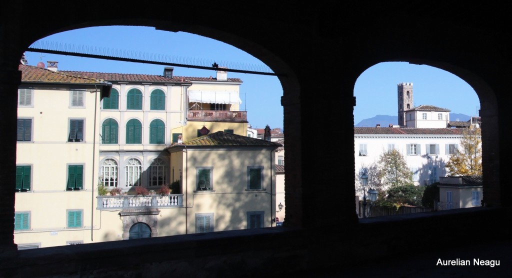 Lucca2