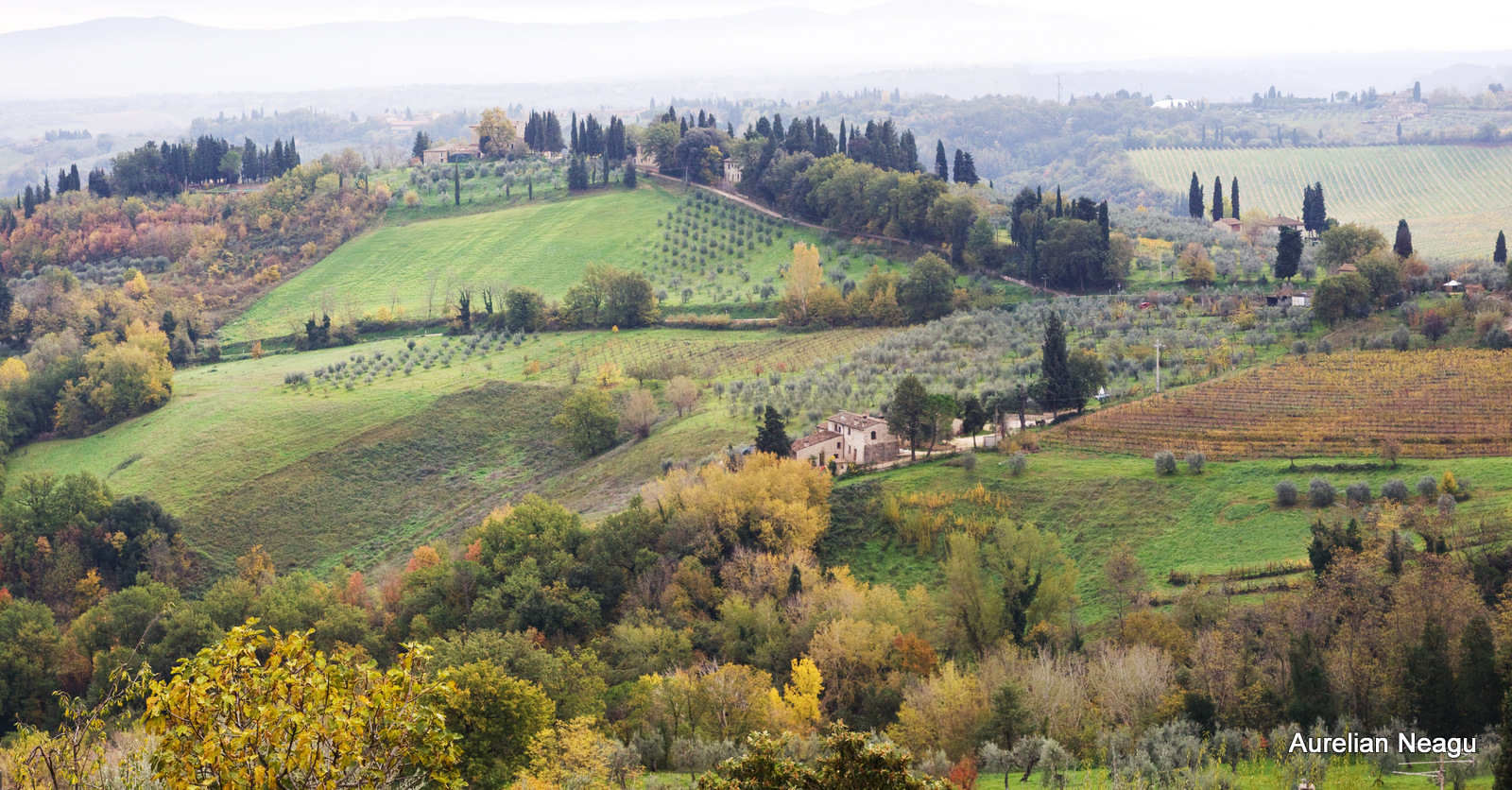 San Gimignano_8