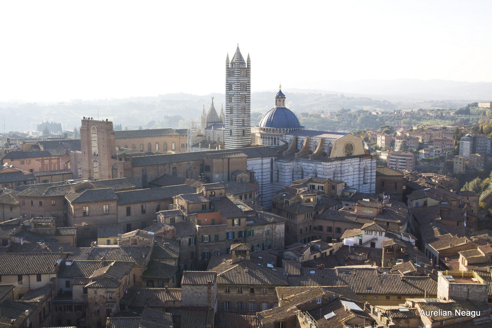 Siena_1