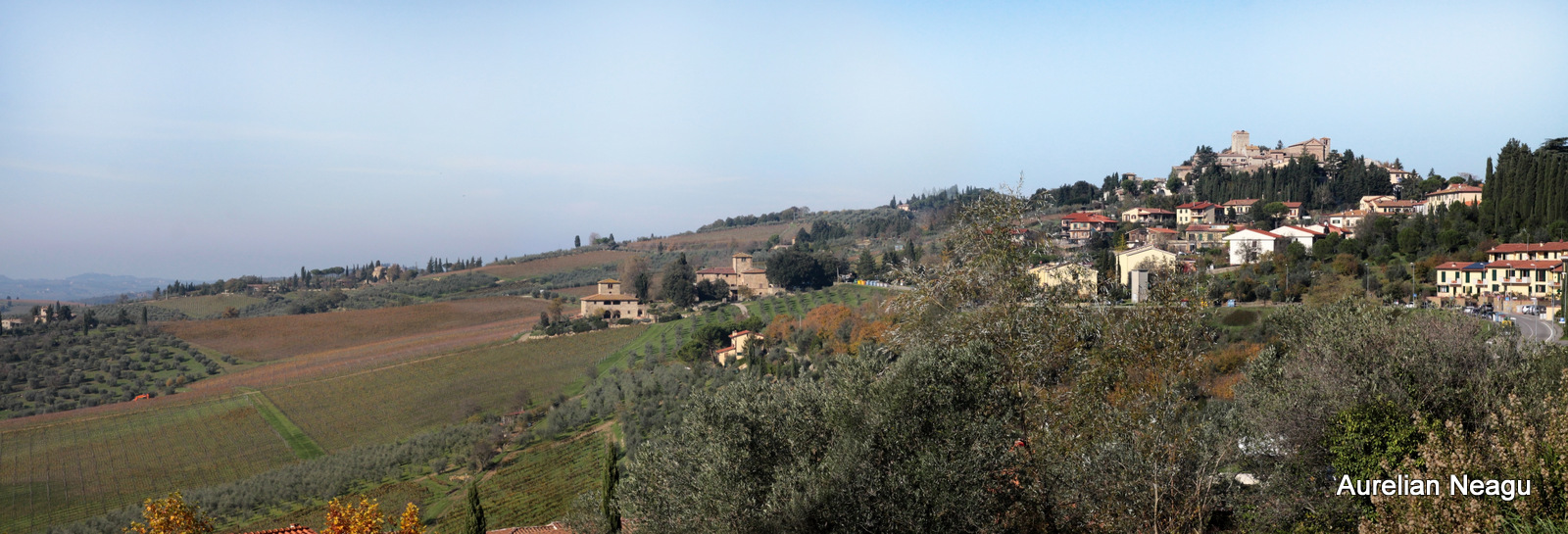 Volterra_1