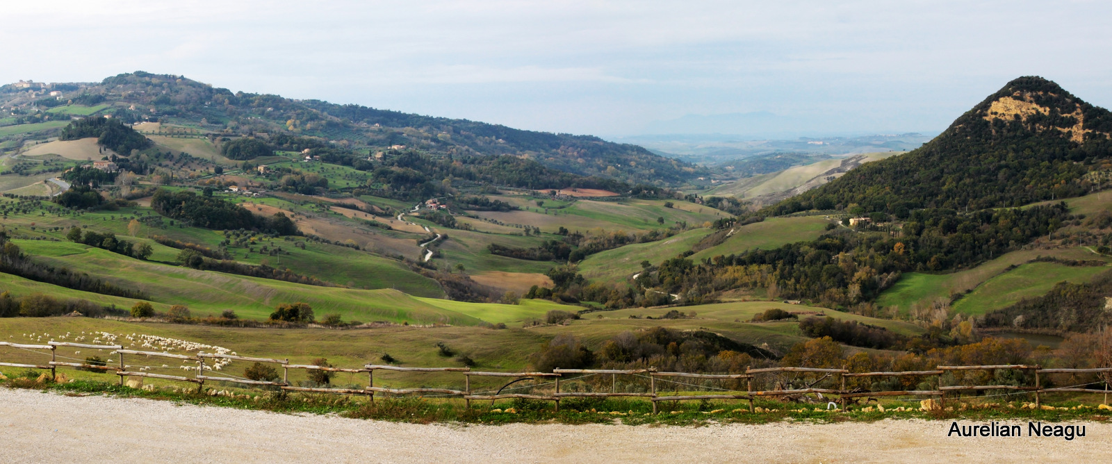 Volterra_2
