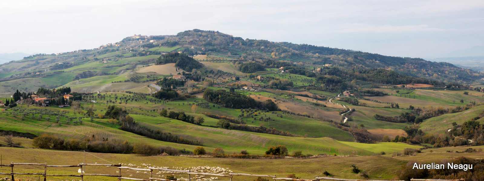 Volterra