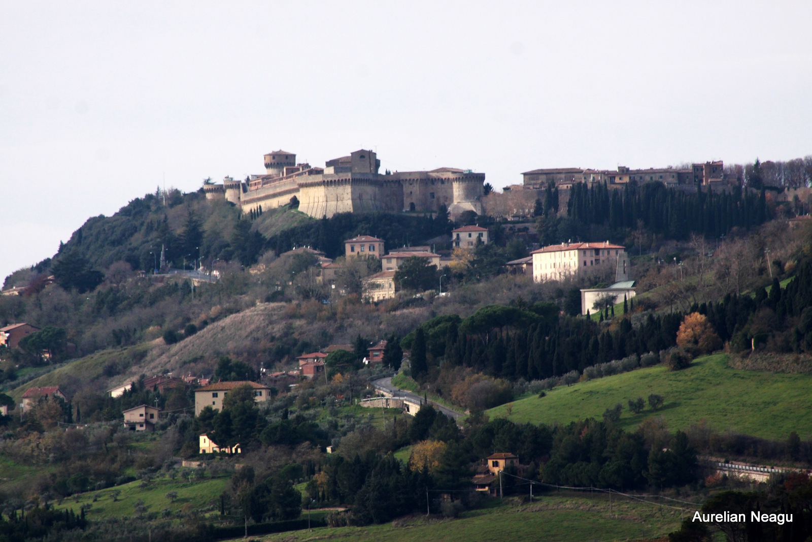 Volterra_5