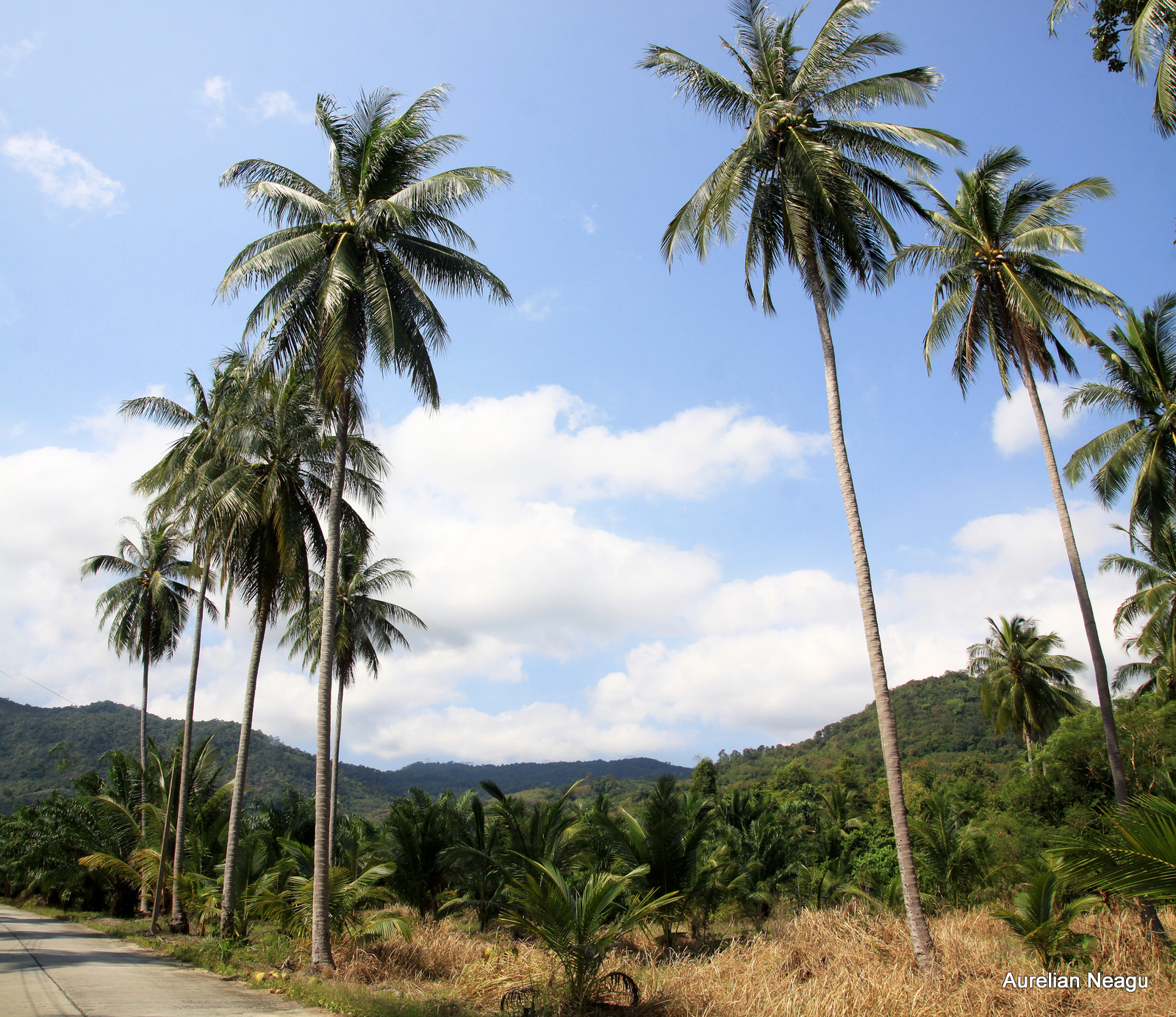 Khanom Thailanda rurala