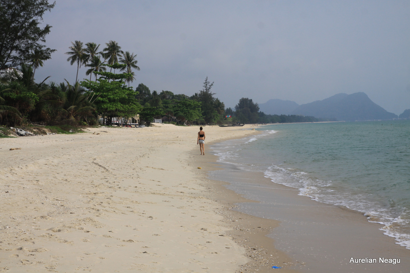 21. Alearga