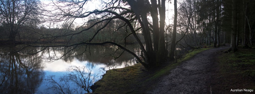 Haddo House 1