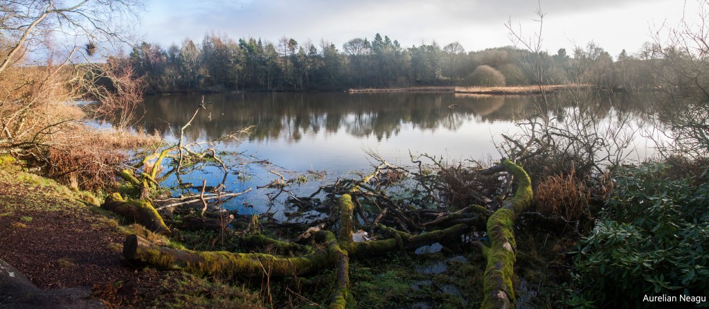 Haddo House 2