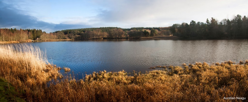 Haddo House3