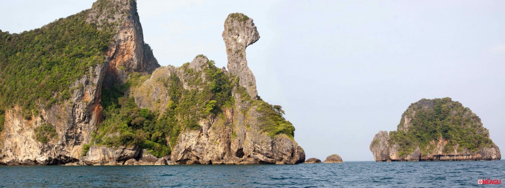 Chicken-Island