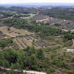 Les Baux de Provence - 6