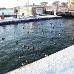 Vaxholm_7
