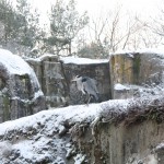 Stockholm_43