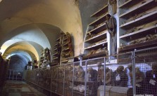 Catacombele Capucinilor 3