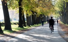 Lucca