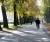 Lucca