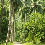cascada din Khanom_24