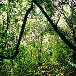 cascada Khanom_15