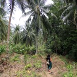 cascada din Khanom_32