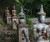 Wat Pha Lat