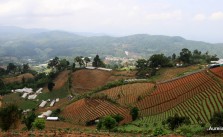 Chiang Mai, Muntii de Orez