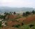 Chiang Mai, Muntii de Orez