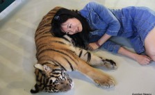 Tiger Kingdom, Chiang Mai 9